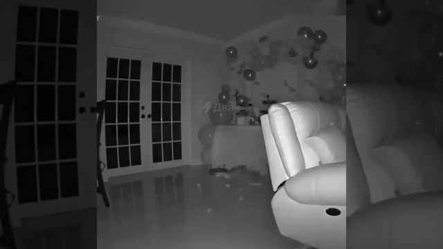 2022-12-08 смотреть онлайн