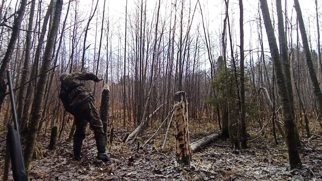 Охота на зайца 2020! Солонцы- подкормка зайцев!