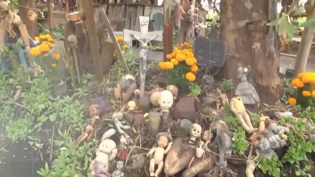 15 Cosas Capturadas En Ríos Que Sorprendieron Al Mundo смотреть онлайн