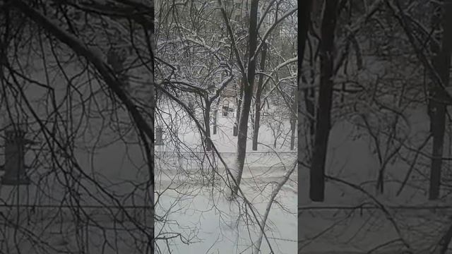 Снежная буря стихи исполнение и видео Татьяна Талызина смотреть онлайн