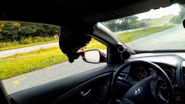 B² audio rage xl 12 dropping lows смотреть онлайн
