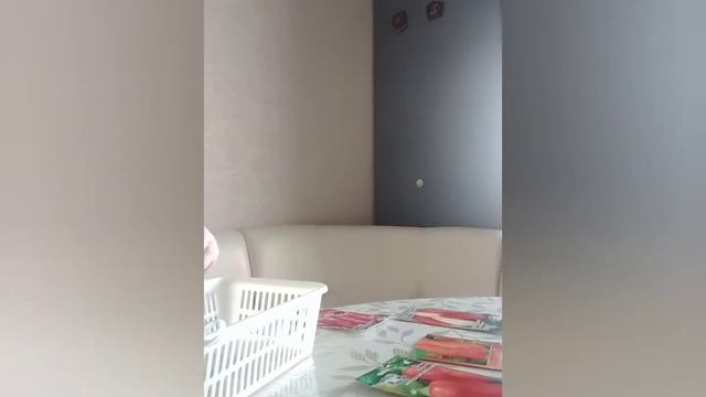 ГОТОВИМ СЕМЕНА ПЕРЦА НА ПРОРАЩИВАНИЕ смотреть онлайн