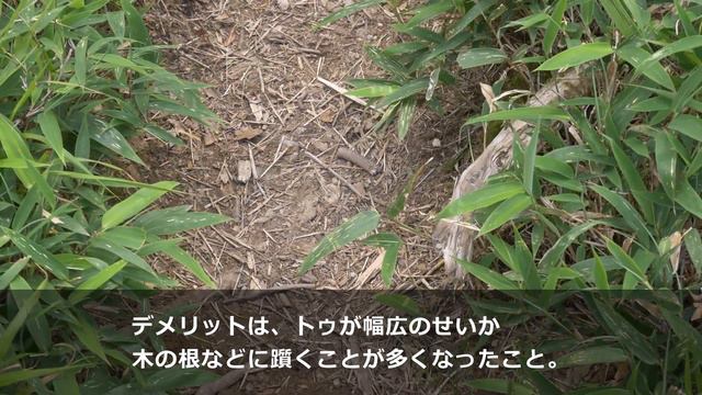 【レビュー】アルトラ ローンピーク4.5を履いて行者還岳を歩く смотреть онлайн