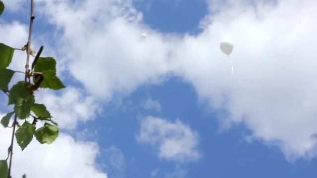 Приют - запуск шариков смотреть онлайн