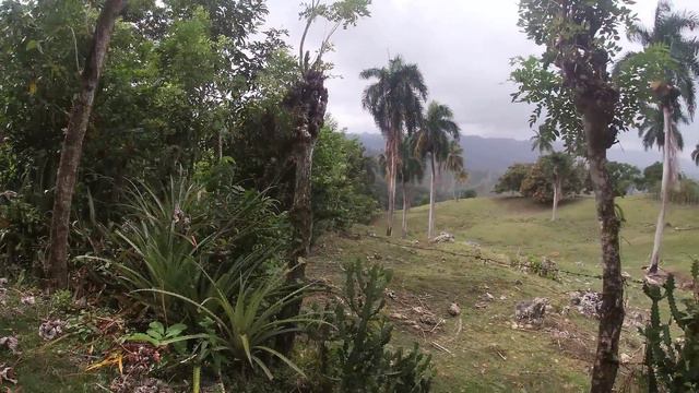 Aventura en la Piedra de Monte Llano, Arroyo de Leche, La vida del Campo смотреть онлайн