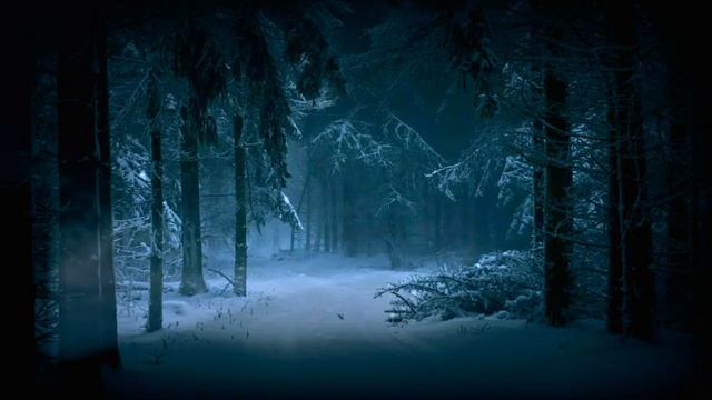 Прогулка по зимнему леcу в морозный день | Звуки зимнего леса для сна и релакса | Антистресс | 4K смотреть онлайн