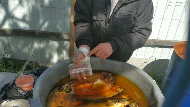 Чем красят рыбу для магазинов. Разбираем секрет красивой рыбы. смотреть онлайн