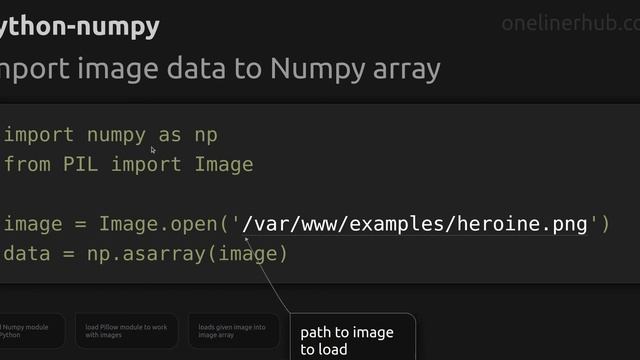 Import image data to Numpy array смотреть онлайн