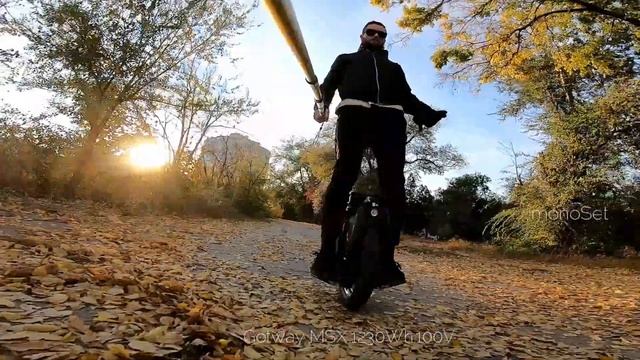 Gotway MSX.1230Wh.100V смотреть онлайн