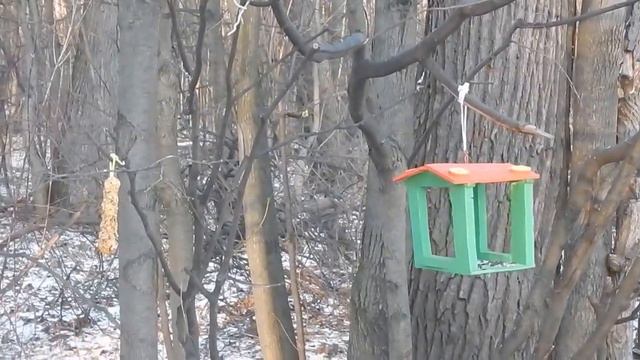 019 28 12 2015 Г НИКОГО НЕ БЫЛО СТРАННО ... смотреть онлайн