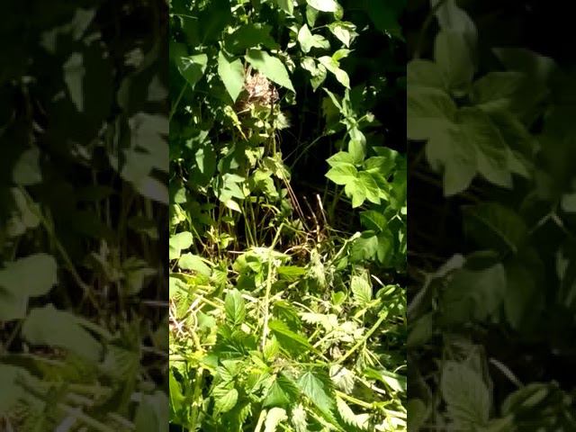 19 июня 2022 г. смотреть онлайн