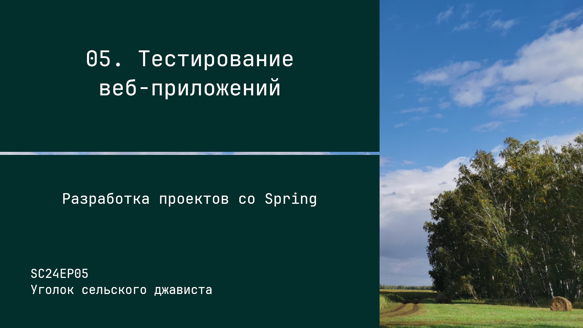 SC24EP05 Тестирование веб-приложений - Разработка проектов со Spring смотреть онлайн