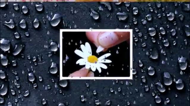 Гадание на ромашке смотреть онлайн