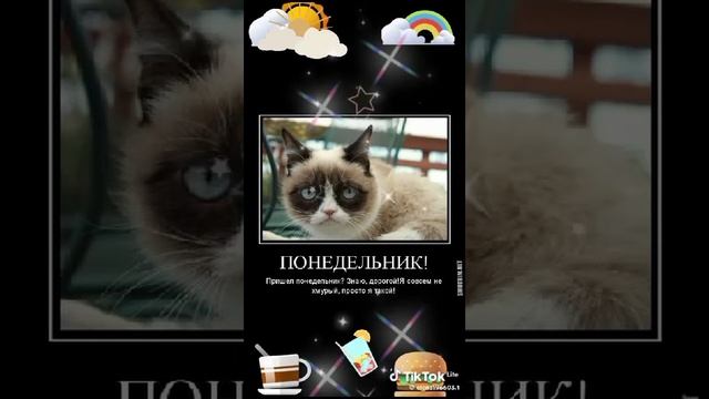 VID-20231120-WA0002.mp4