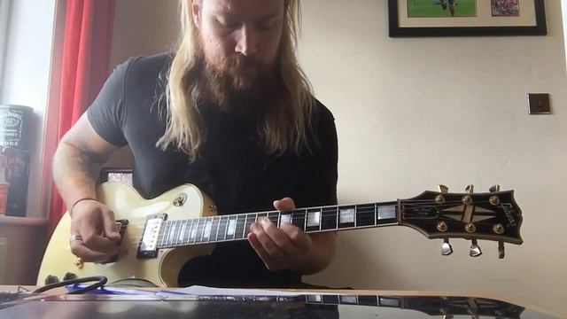 Zakk Wylde Cover Sold my Soul solo смотреть онлайн