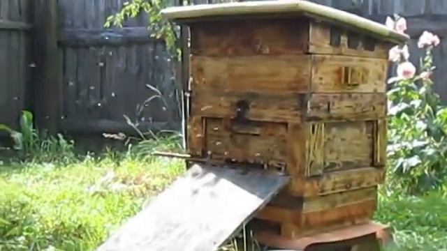 ?МОЙ ПЕРВЫЙ САМОДЕЛЬНЫЙ УЛЕЙ ДАДАНА БЛАТТА? смотреть онлайн