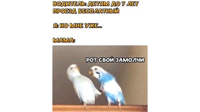 Мемы | Когда купил очки смотреть онлайн