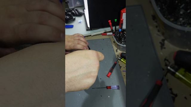 1999 Nissan Skyline R34 GT-R 1:18 Solido смотреть онлайн