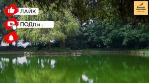 Рассказ мужчины | Измена жены. Муж застал жену дома с любовником. Жестокая месть мужа. История