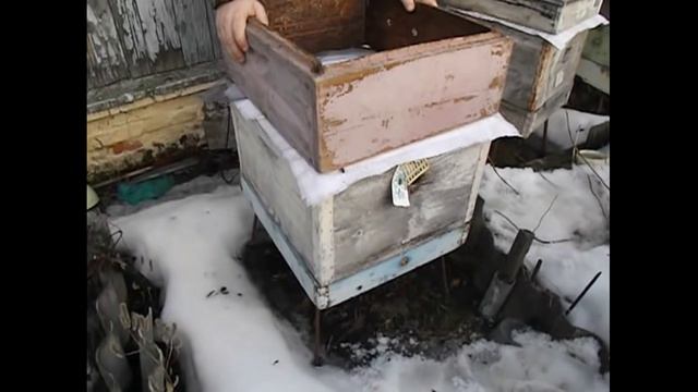 работы с пчелами в марте - часть 1 смотреть онлайн