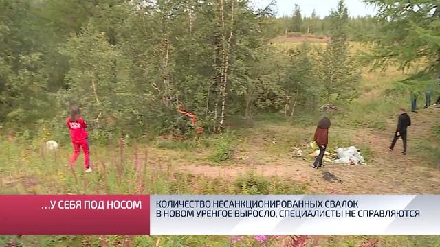 Количество несанкционированных свалок в Новом Уренгое выросло, специалисты не справляются смотреть онлайн