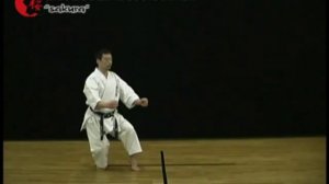 11 Кёкусинкай Карате  Стойки  Урок 11