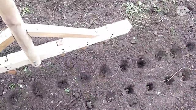 Приспособление под посадку чеснока. смотреть онлайн