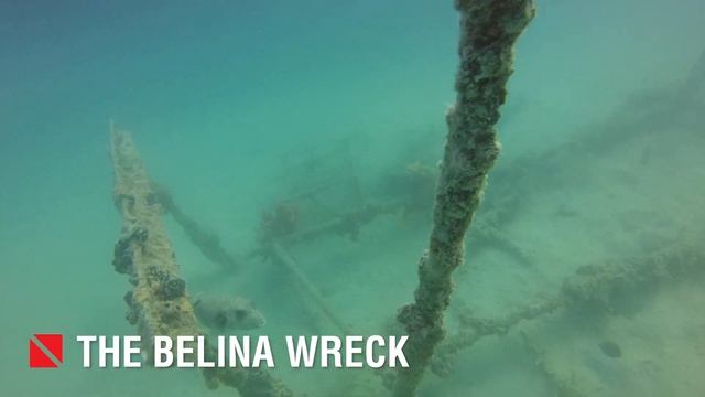 Scuba Diving 2019 - Hurghada, Red Sea, Egypt смотреть онлайн