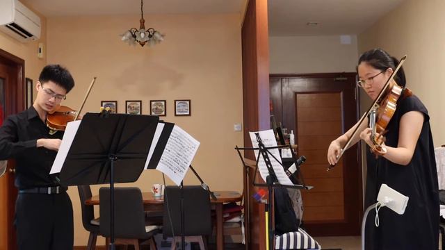 Mozart - Duo for Violin and Viola No. 1, K. 423 Movt. 2 смотреть онлайн