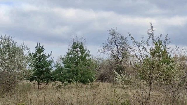 17 декабря народный праздник ДЕНЬ ВАРВАРЫ. Народные приметы и традиции. Важные правила и запреты дн смотреть онлайн