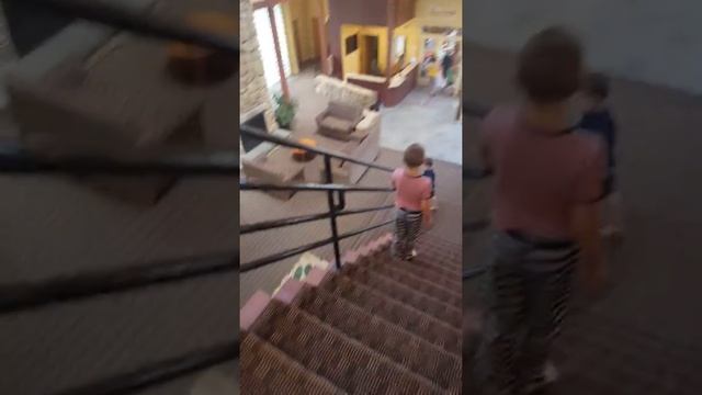 Ping pong game final смотреть онлайн