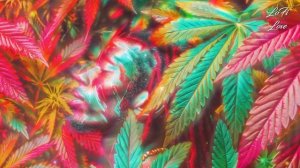 -- Kush Garden Grooves_ Farmer_s Lofi Reggae _ Chillhop Paradise(480P).mp4