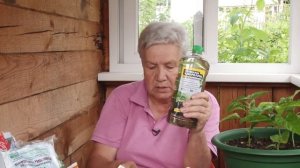 Голова садовая - Лечение томатов