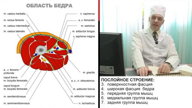 Большаков И.Н. Хирургическая анатомия нижней конечности смотреть онлайн