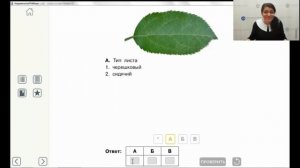 Готовим к ВПР по Биологии с помощью интерактивных инструментов