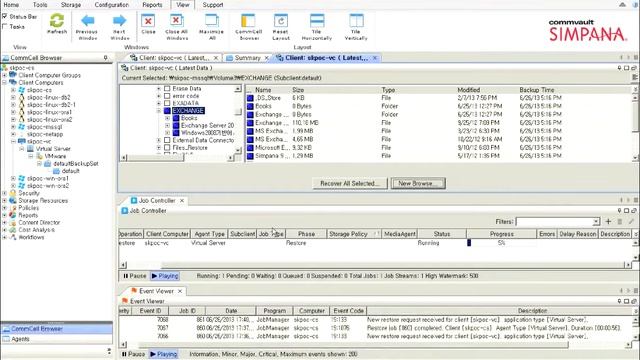 심파나 10 - VMWARE 파일 단위 복구 смотреть онлайн