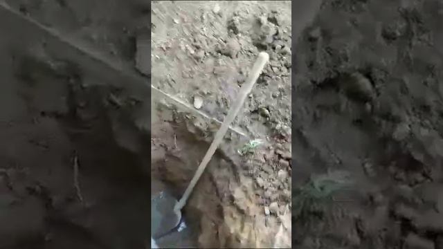 Засор канализации в частном доме. Устраняем аппаратом Ротенбергер. смотреть онлайн