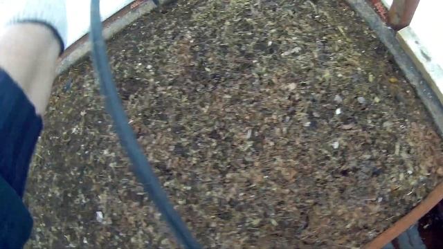 25 2019г весна вода теплица дача под Архангельском смотреть онлайн