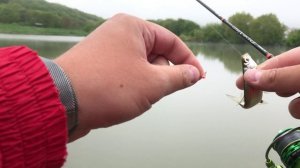 Попла-Поппер! Убойная снасть для ловли белой рыбы , спиннингом! #1