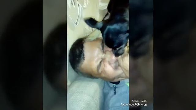 Title- любовь к хозяину. Уже некуда деватся смотреть онлайн