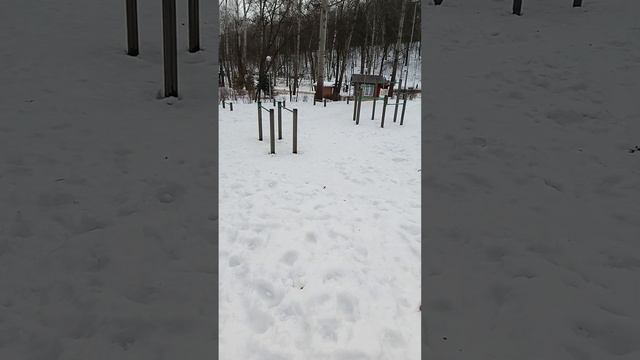 Почему мы не умеем правильно эксплуатировать своё тело смотреть онлайн