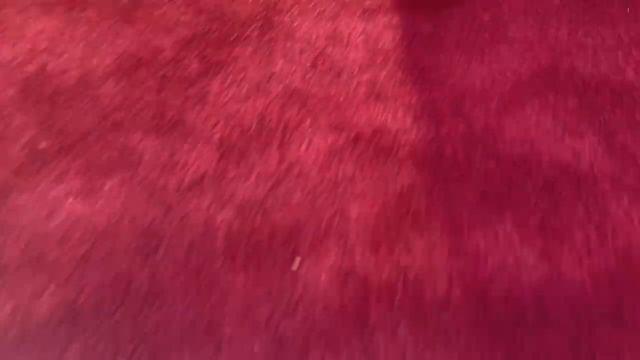 1991Ford Bronco Silver Anniversary Special Edition