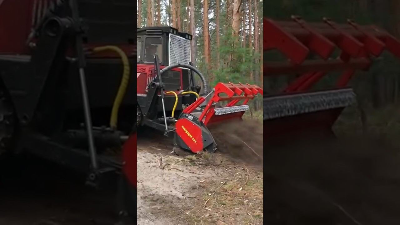 Гусеничный дьявол ТЛП #гусеничныймульчер #расчисткалэп #расчисткаучастка #тлп4м смотреть онлайн