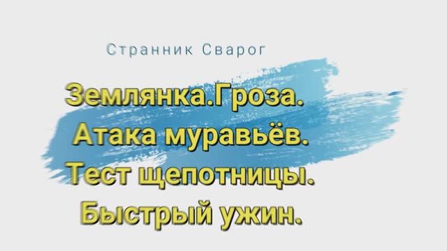 Землянка. Гроза. Атака муравьёв. Тест щепотницы. Быстрый ужин.