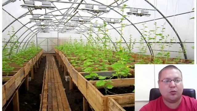 10 БИЗНЕС ИДЕЙ ДЛЯ ДЕРЕВНИ И СЕЛА(мнение сельских предпринимателей) смотреть онлайн