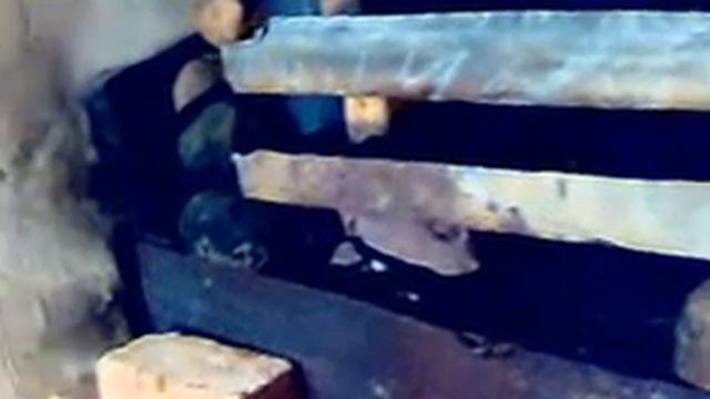 Кулинарные шедевры с Ириной