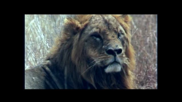 Непутёвые заметки. Розыгрыш 2007 смотреть онлайн
