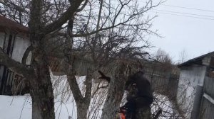 Бензопила Хопер 4518 первый запуск