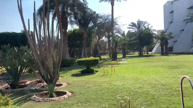 Обзор отеля Shams Safaga 4* Египет