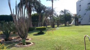 Обзор отеля Shams safaga 4* Египет